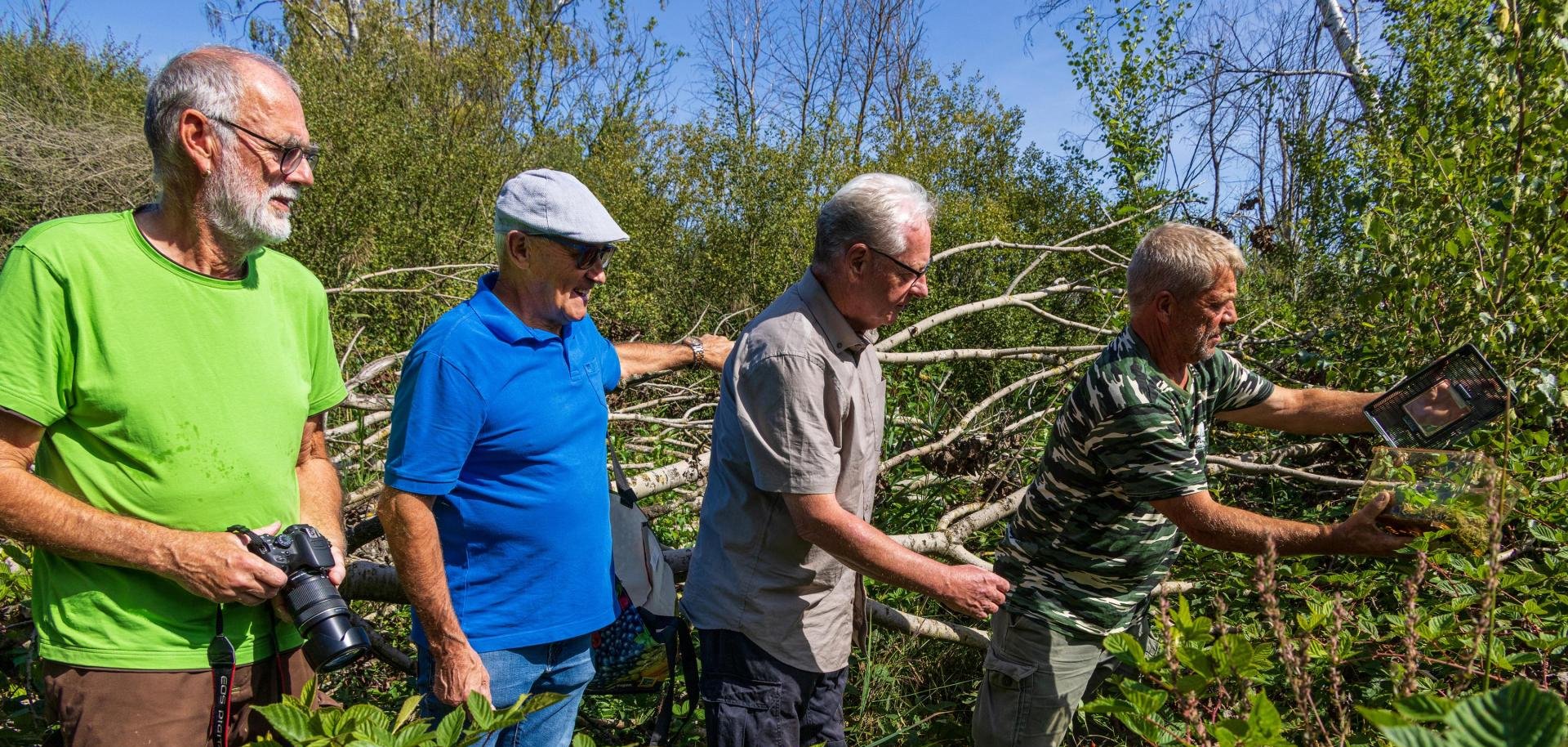 Aussetzung Laubfrösche 2026 von links nach rechts: Herr König Naturschutzgruppe Moorklee, erster Beigeordneter der Verbandsgemeinde Bruchmühlbach-Miesau Herr Schneider, Prof. Dr. Bernd und Züchter Ihrig bei der Aussetzung der Laubfrösche