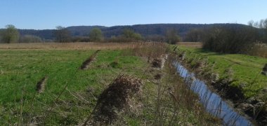 Bach der zwishen zwei Wiesen fließt. Im Hintergrund bewaldete Hügel.