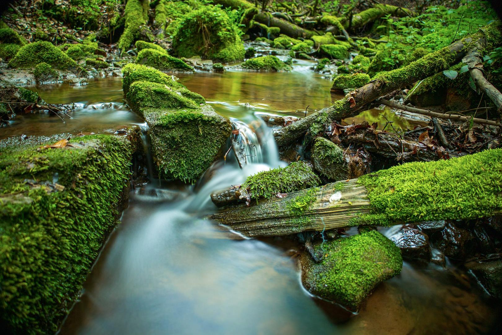 Kleiner Wasserfall im Bauchlauf
