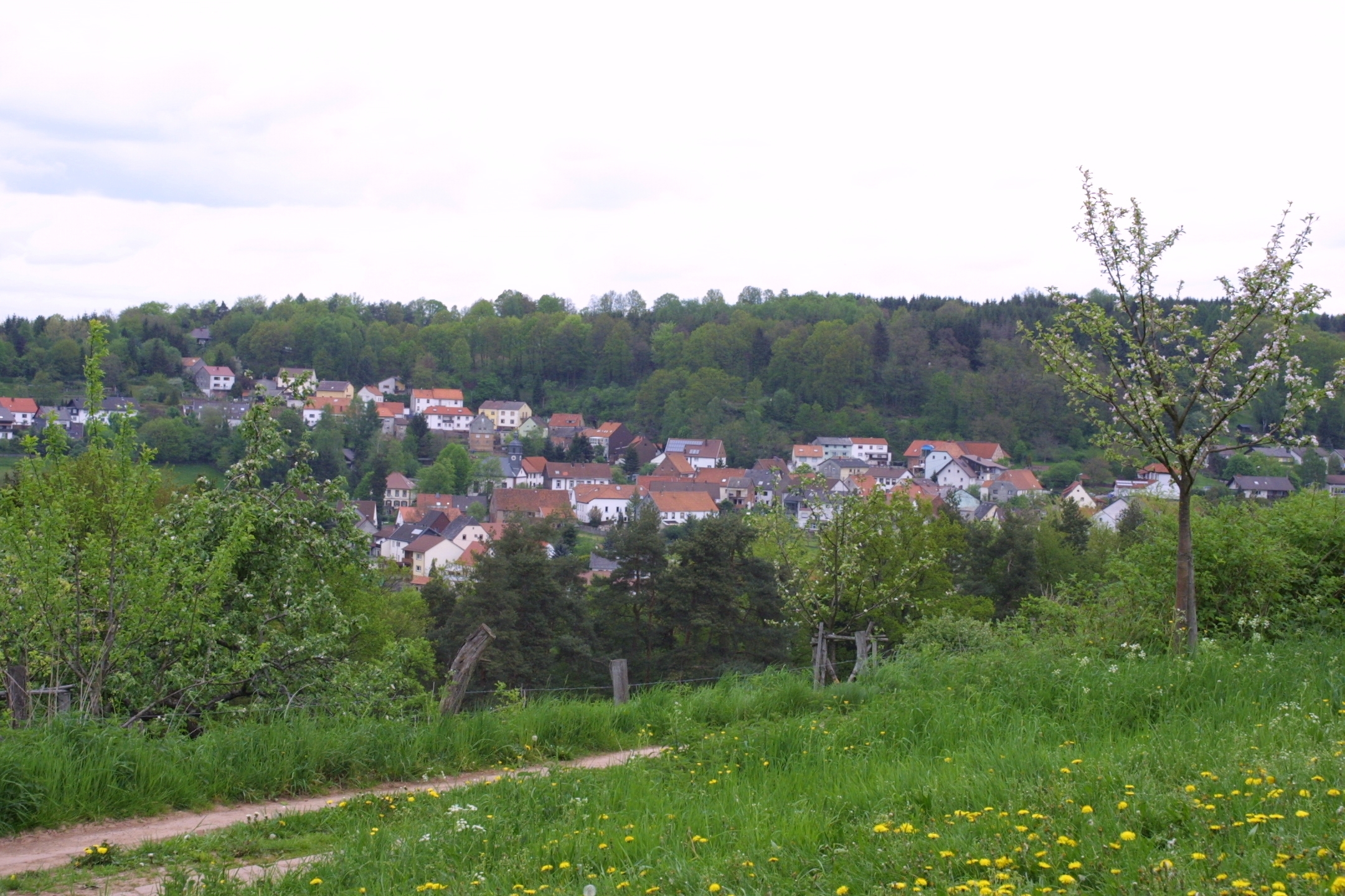 Blick auf das Dorf Lambsborn und Wald