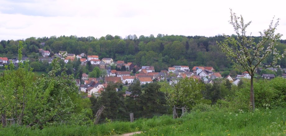 Lambsborn Blick auf das Dorf Lambsborn und Wald