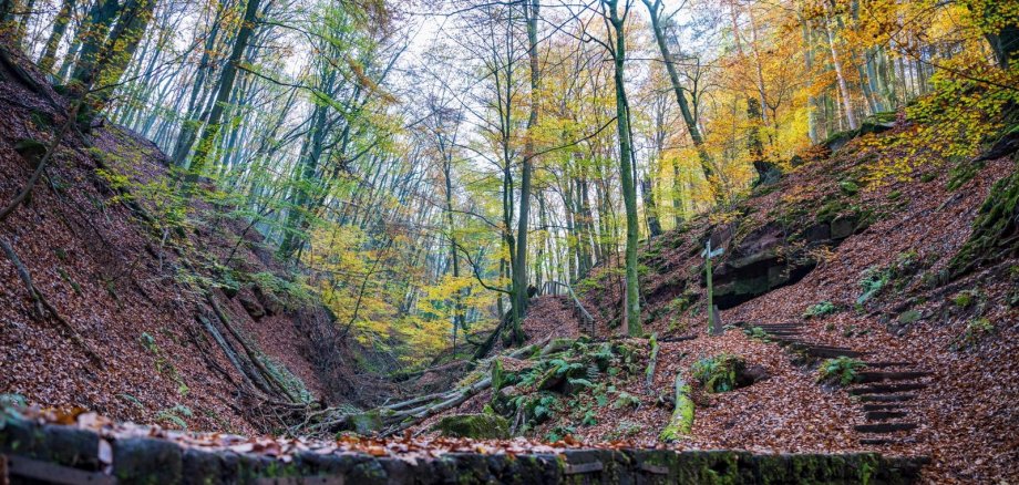Brücke über einen Bach im Wald 