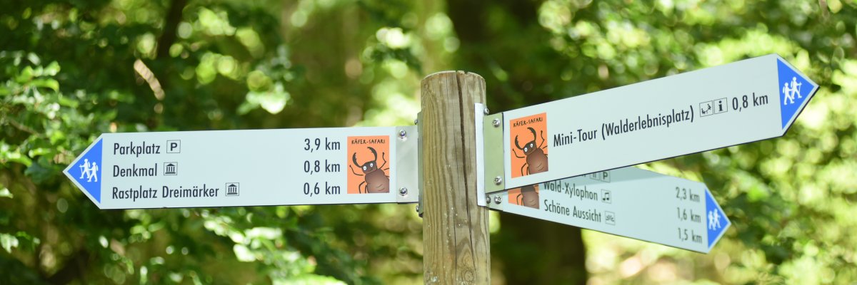 Wegweiser mit Qualitätswanderweg Käfer-Safari im Wald 