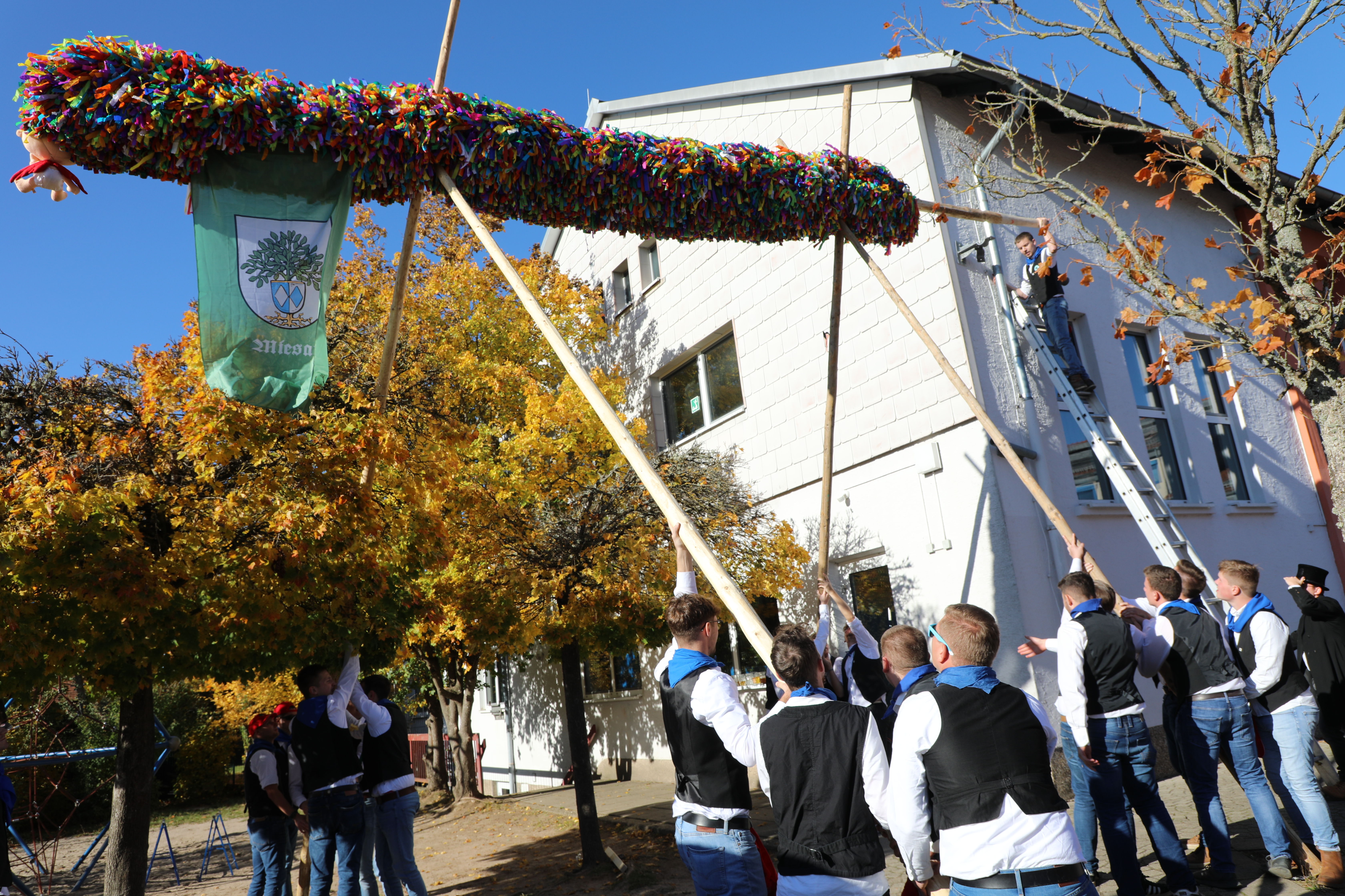 Aufstellung eines Maibaums durch festlich gekleidet Männer.