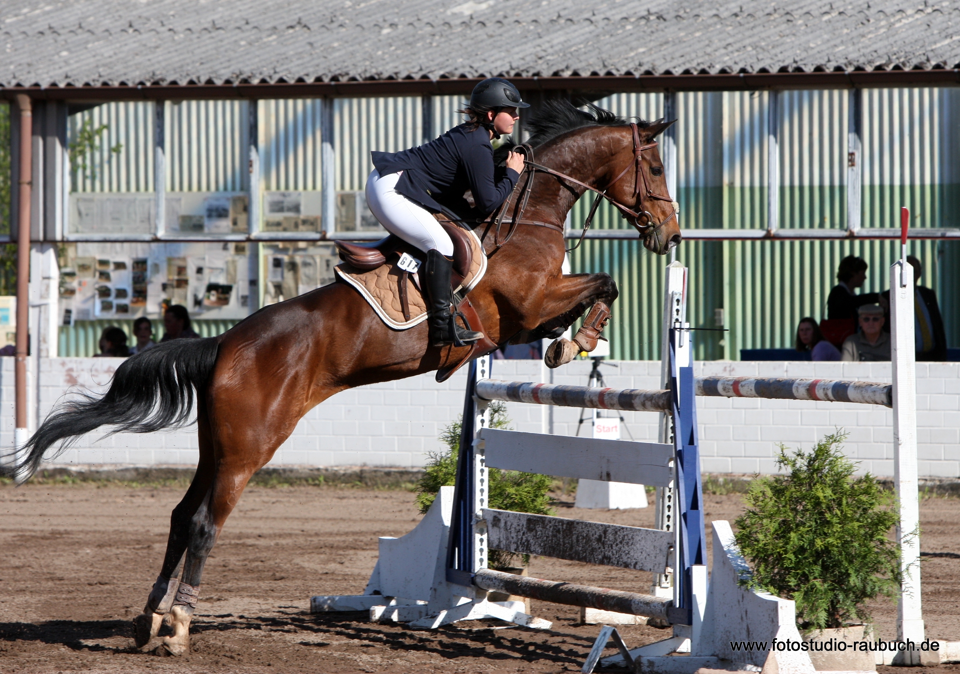 Mensch auf einem Pferd, das über ein Hindernis springt.