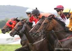 Vier braune Pferde in einer Linie mit Jockeys auf dem Rücken.