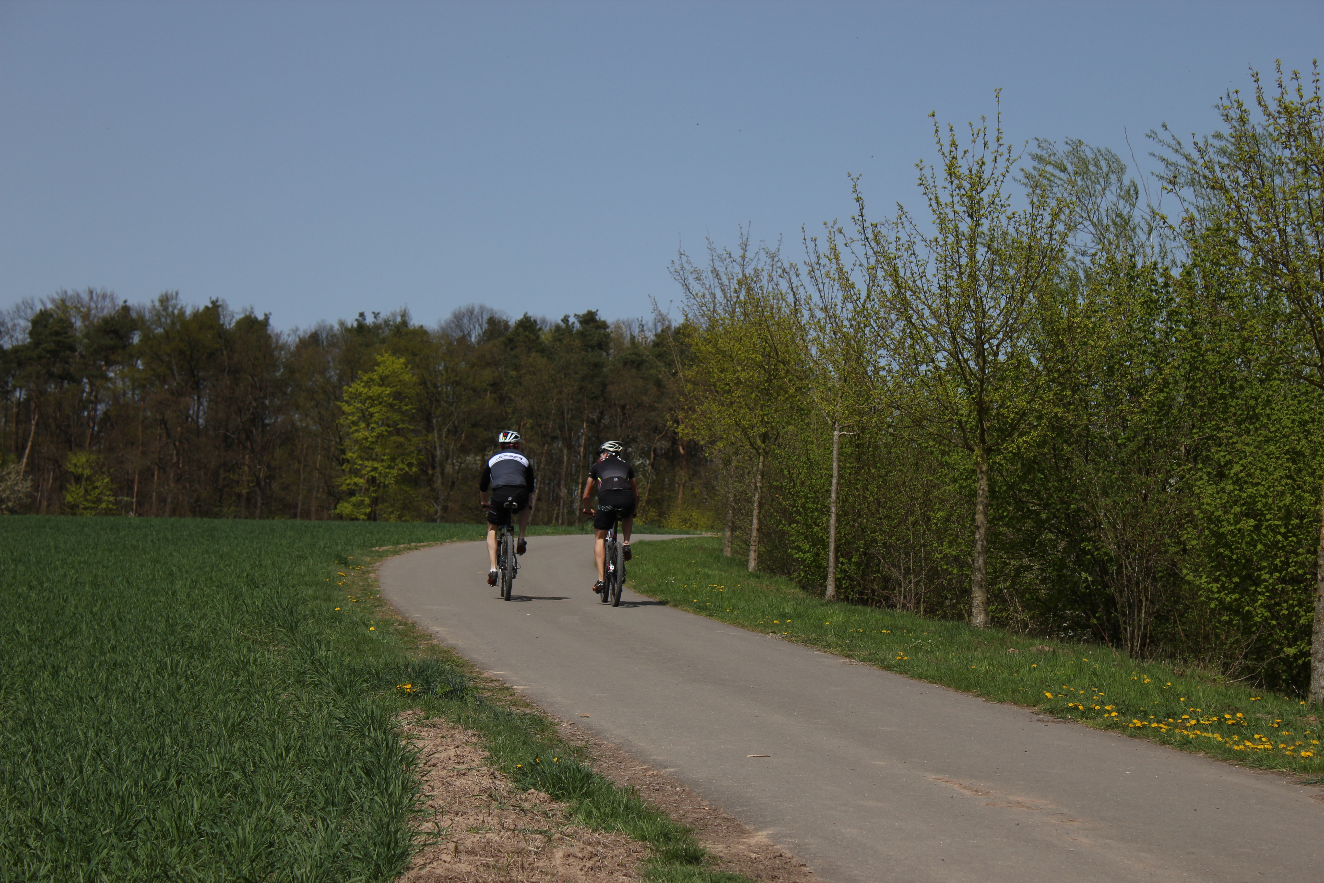 Zwei Radfahrer auf einem Feldweg. Links von ihnen ein Feld und rechts von ihnen kleine Bäume.