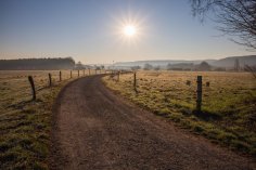 Weg der durch zwei Wiesen verläuft.