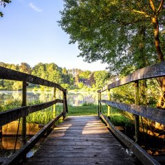 Holzbrücke, die auf einen See zuverläuft