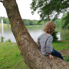 Kind sitzt auf einem Ast und schaut in Richtung See