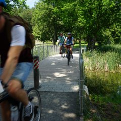 Drei Menschen die mit den Fahrrädern über eine Holzbrücke fahren