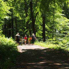 Zwei Frauen wandern mit drei Kindern an der Hand durch den Wald.