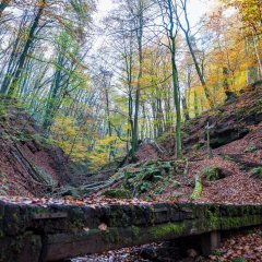 Brücke über einen Bach im Wald