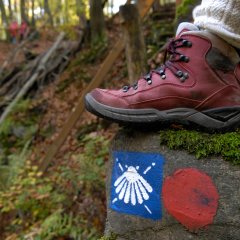 Stein auf dem ein blauer Wegweiser mit weißer Muschel und ein roter Kreis gemalt sind. Auf dem Stein steht roter Wanderschuh. 