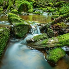 Kleiner Wasserfall im Bachlauf