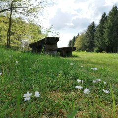 Holztisch mit zwei Holzbänken auf einer Wiese