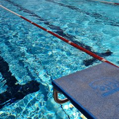 Zu sehen ist ein Sprungbrett von Oben. Unter ihm befindet sich ein tiefes Schwimmbecken. 
